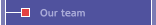 Our team